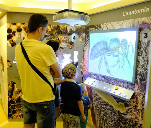 centro modle Centre D'Interpretació Apícola Muria