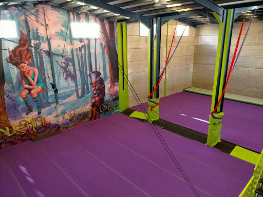 centro modle Centro De Enseñanza Artística Y Acrobática Balans