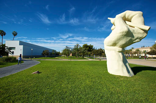 centro modle Centro Superior De Idiomas De La Universidad De Alicante