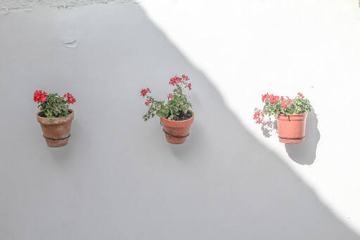 centro modle Evasionrural.Com