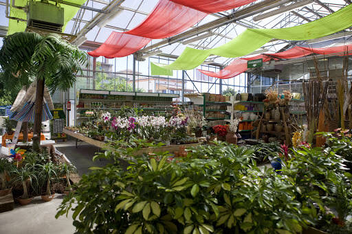 centro modle Garden Tona