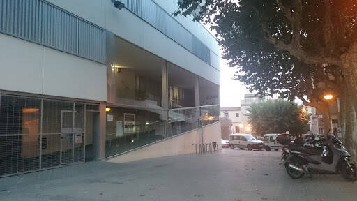 Institut Damia Campeny