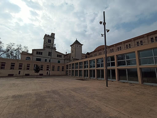 Institut Estela Iberica