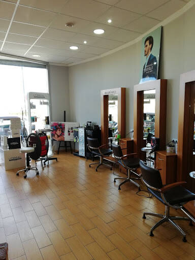 centro modle Rocio Meseguer Estilistas